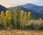 realistic New Mexico Autumn oil painting by William Hagerman