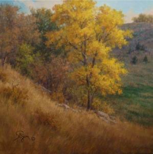 Colorado Autumn Hillside