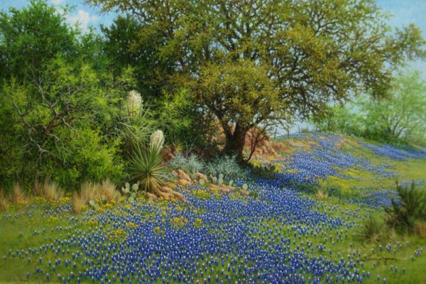 Texas bluebonnet oil painting with yucca by William Hagerman