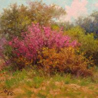 impressionist landscape oil painting of redbud tree by Byron art gifts and more