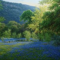 bluebonnet oil painting by William Hagerman