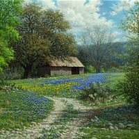 bluebonnet oil painting with barn by William Hagerman