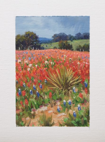 An ACEO oil painting of a wide field of red Indian paintbrush with scattered bluebonnets, white prickly poppy, and a yucca in the foreground, set against distant green hills and a soft overcast sky